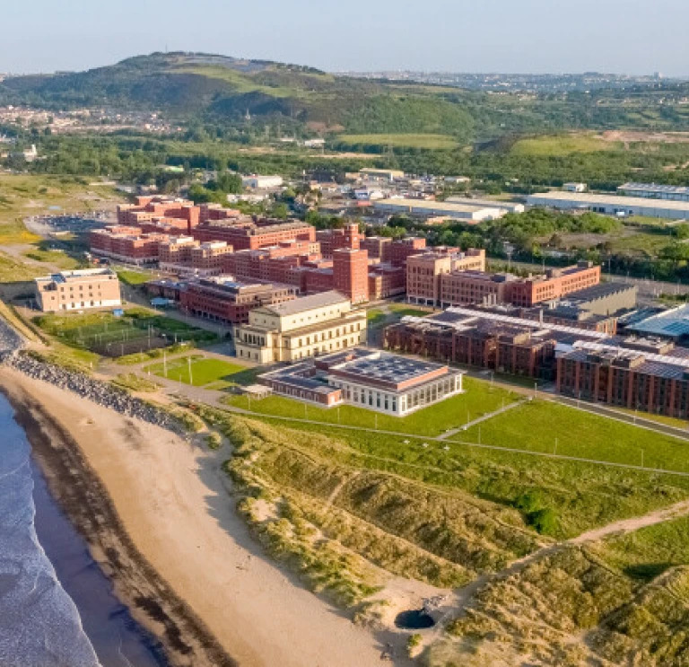 Swansea University